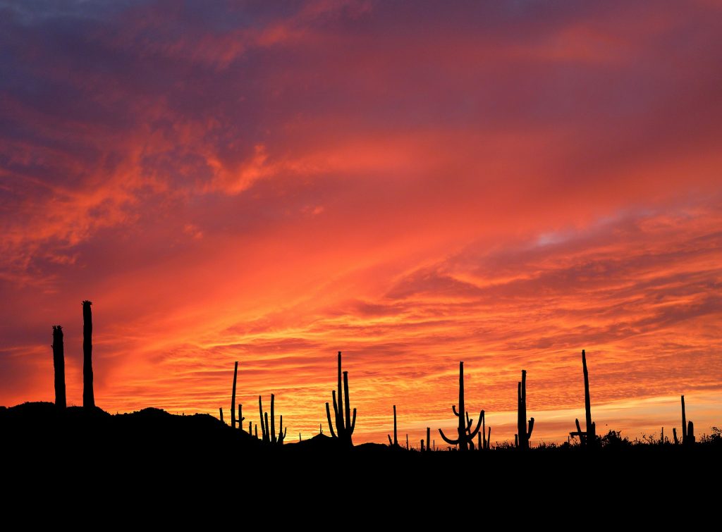 road trip moto arizona