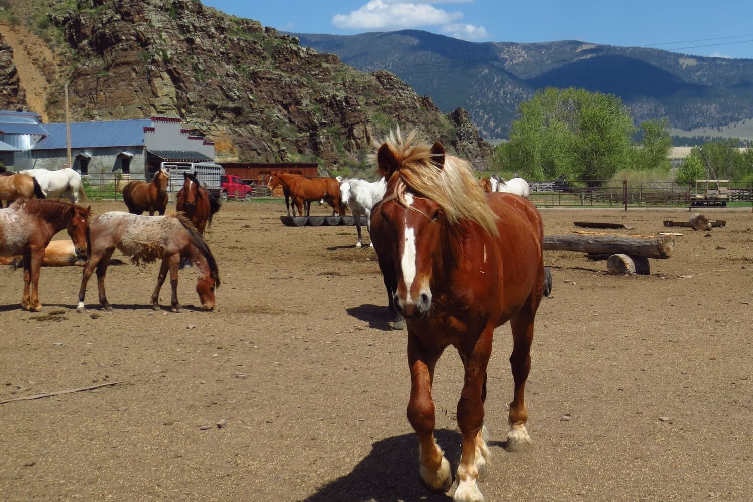 cody wyoming