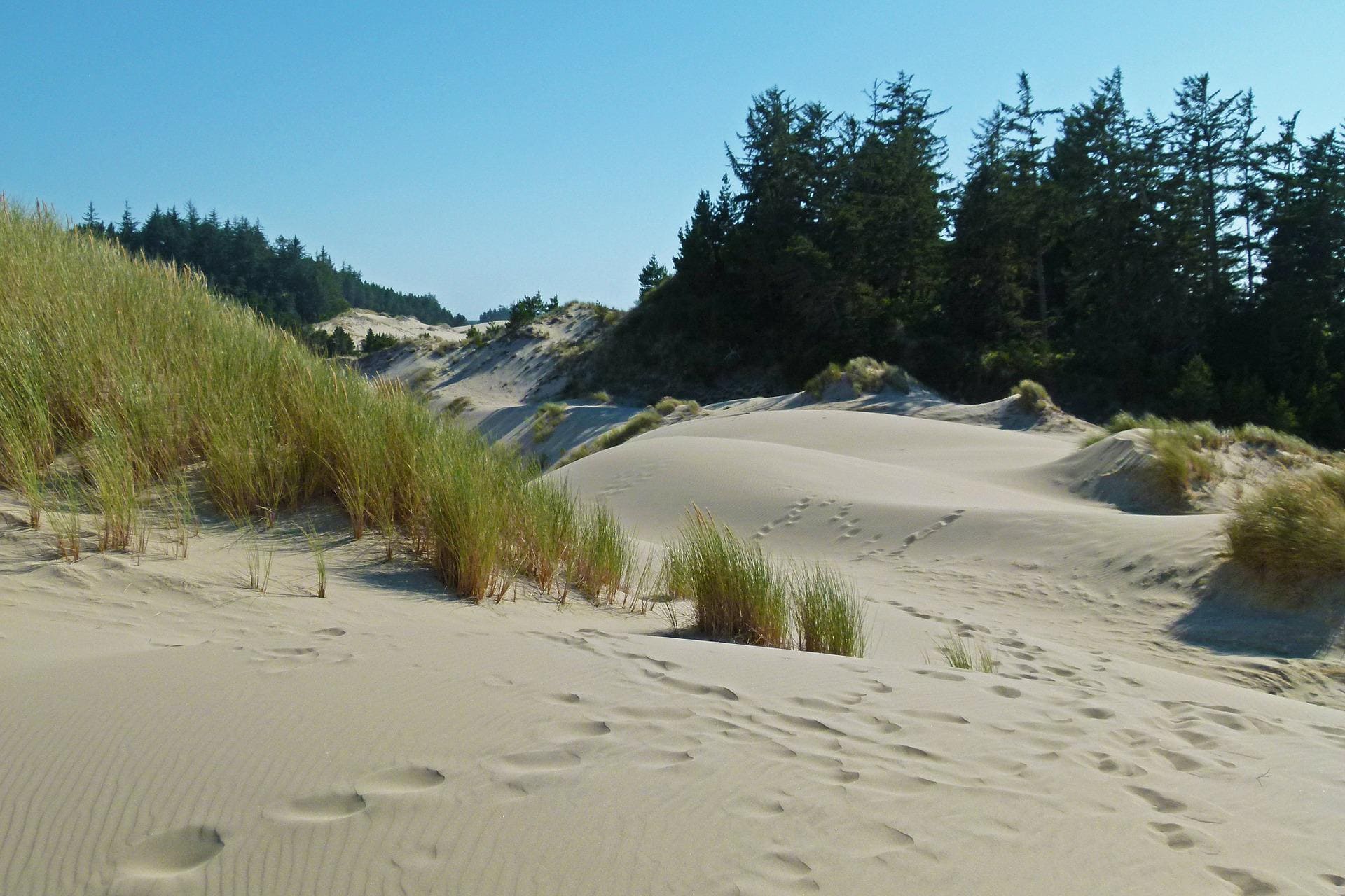 dunes oregon