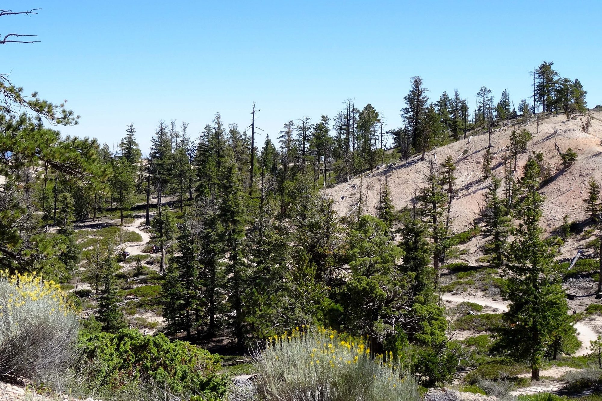 yosemite