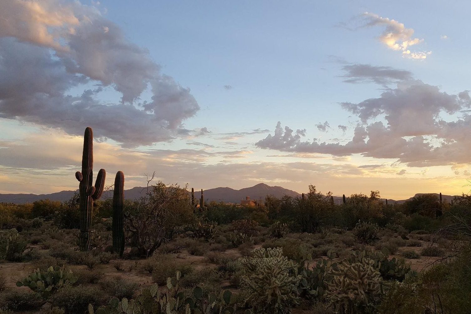 tucson arizona