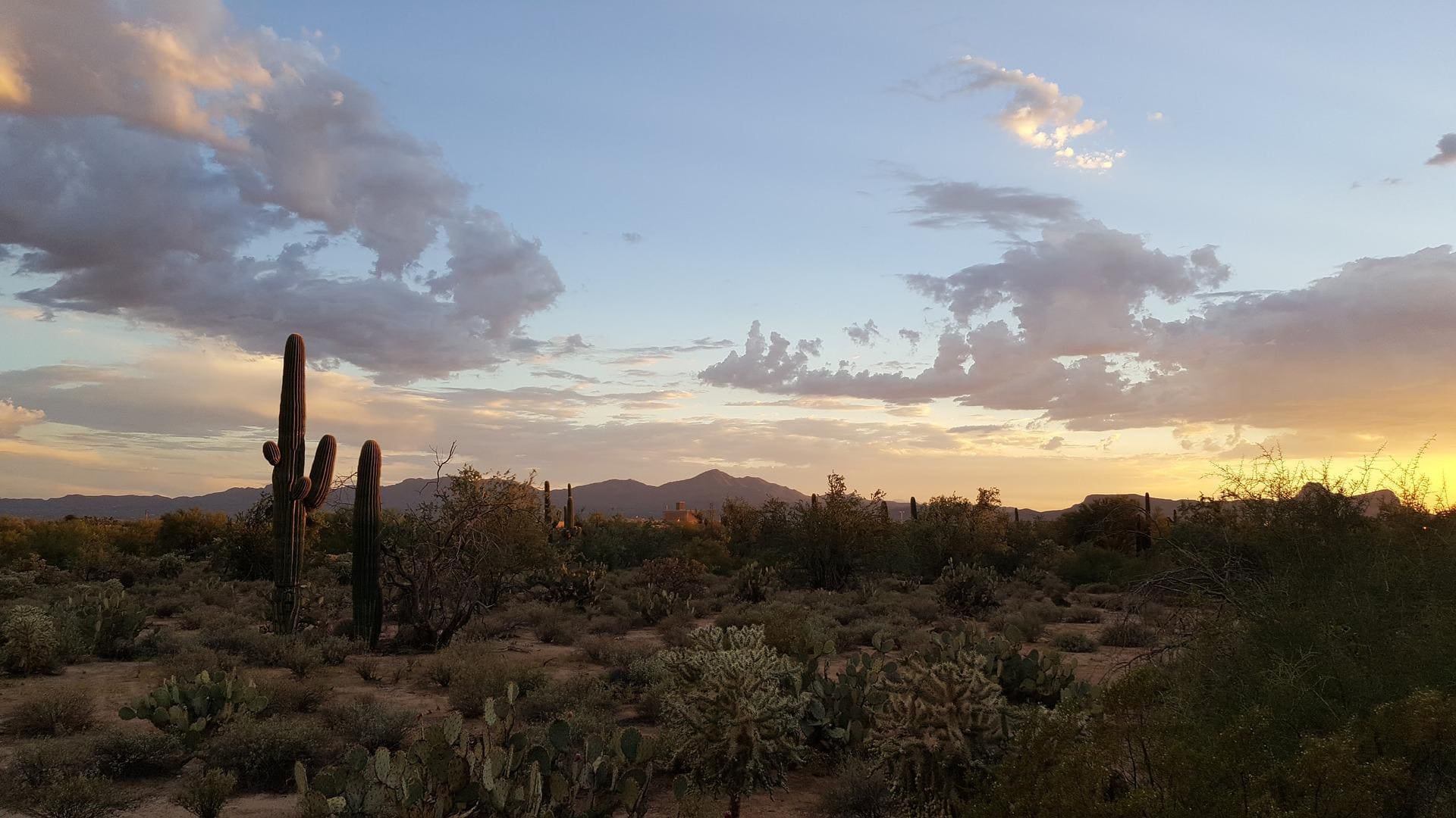 tucson arizona