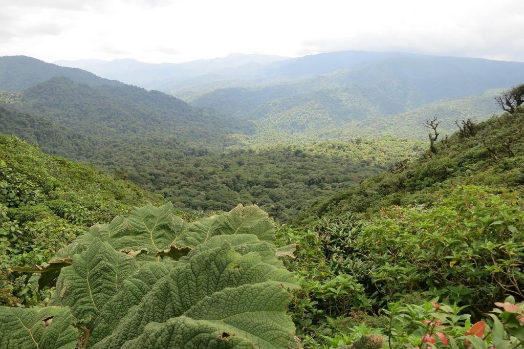 voyage moto costa rica