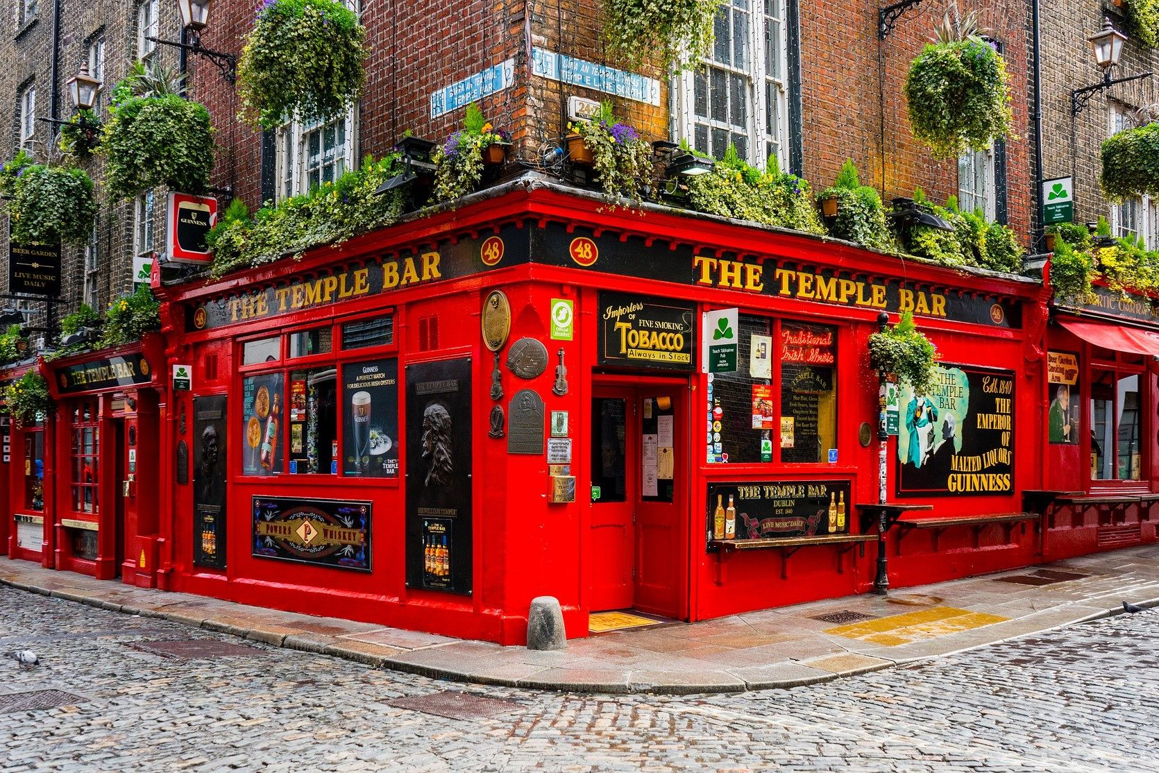 temple bar, bar à dublin