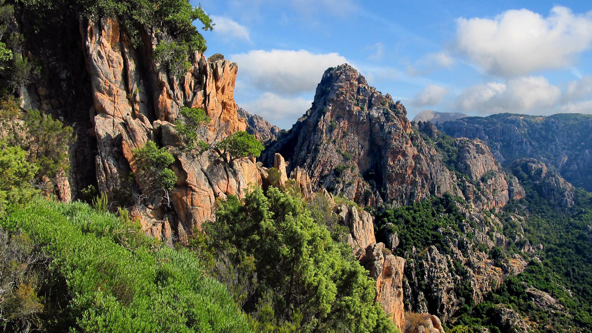 corse