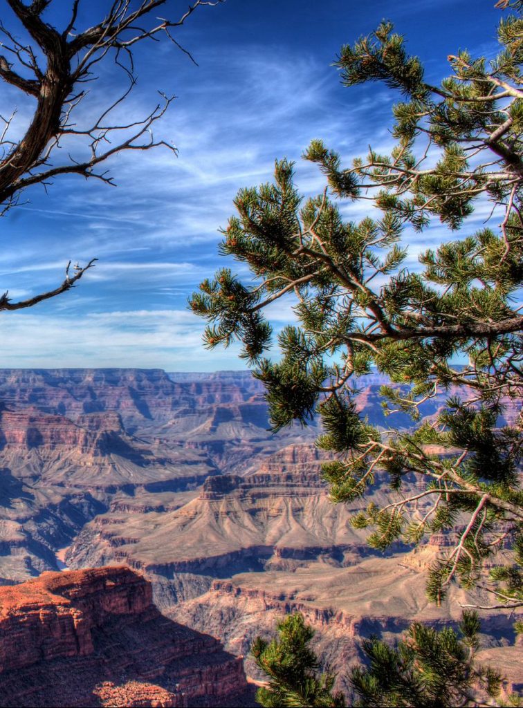 grand canyon