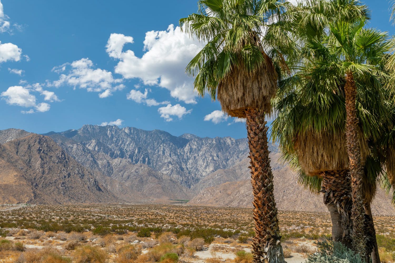 palm-springs-usa-moto