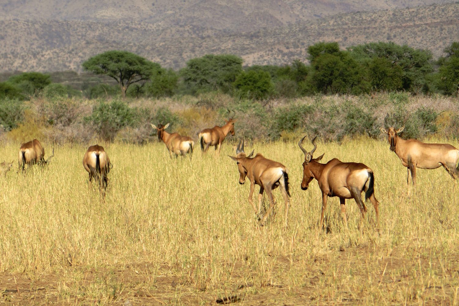 voyage-moto-namibie