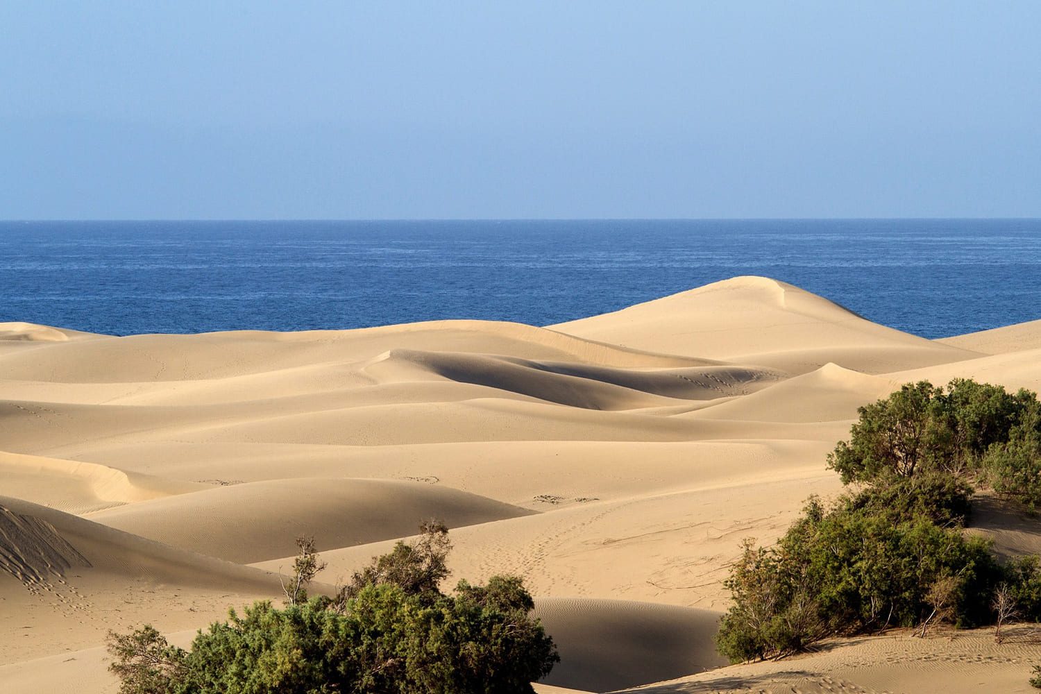 voyage-moto-canaries