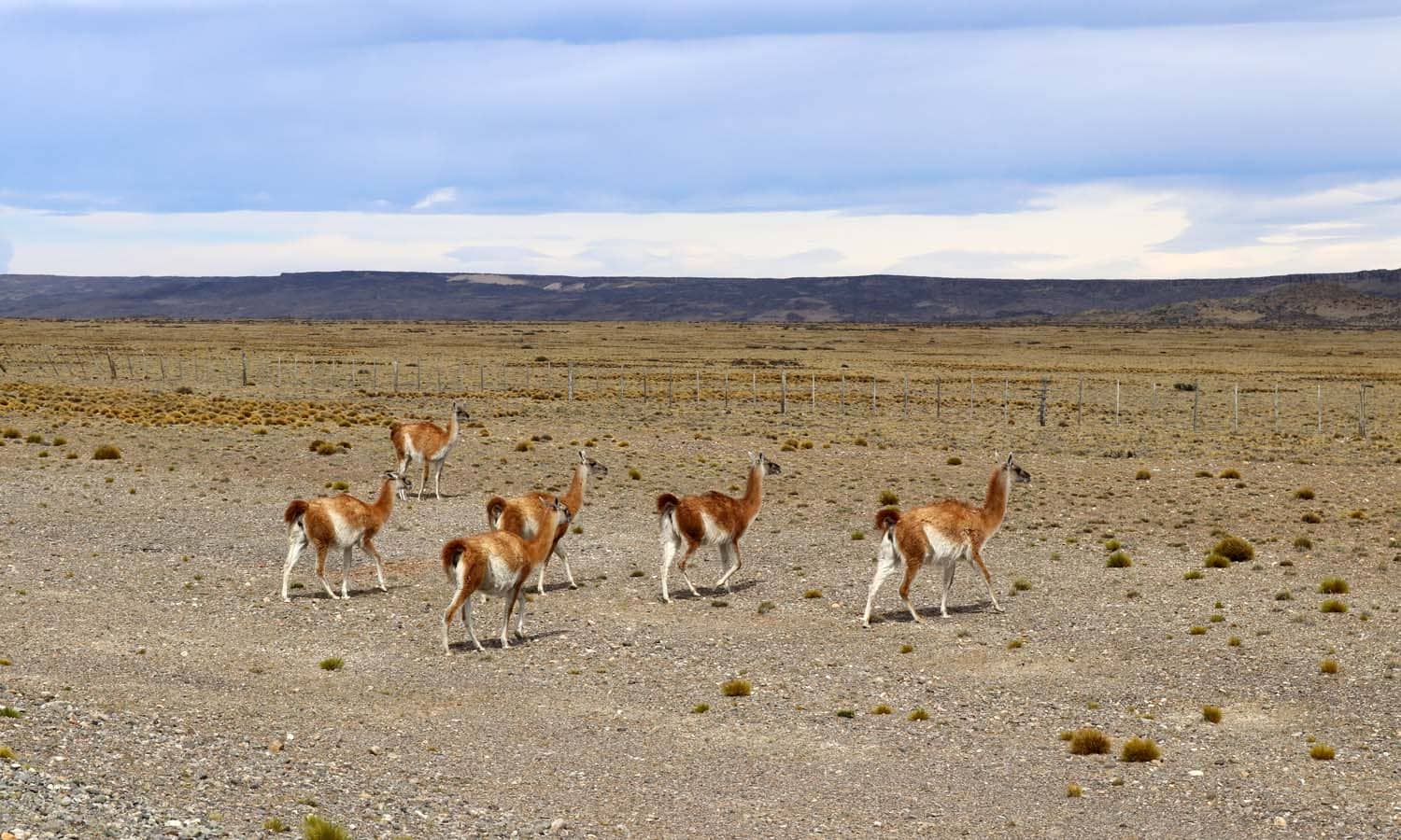 voyage-moto-patagonie