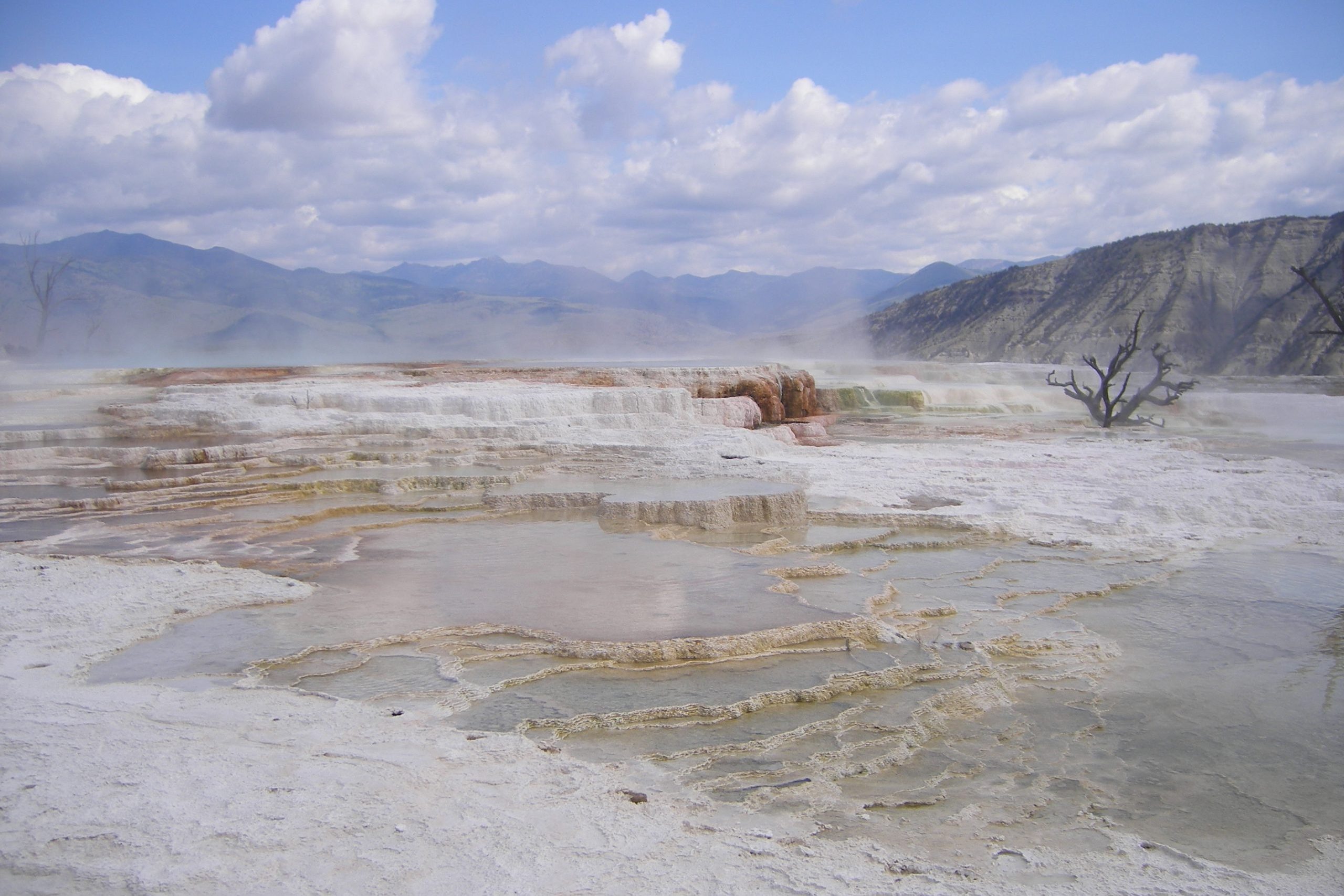 roadtrip yellowstone