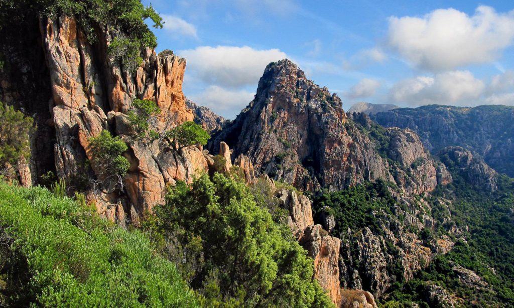 la corse à moto