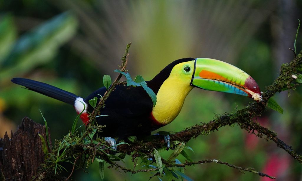 Costa Rica à moto