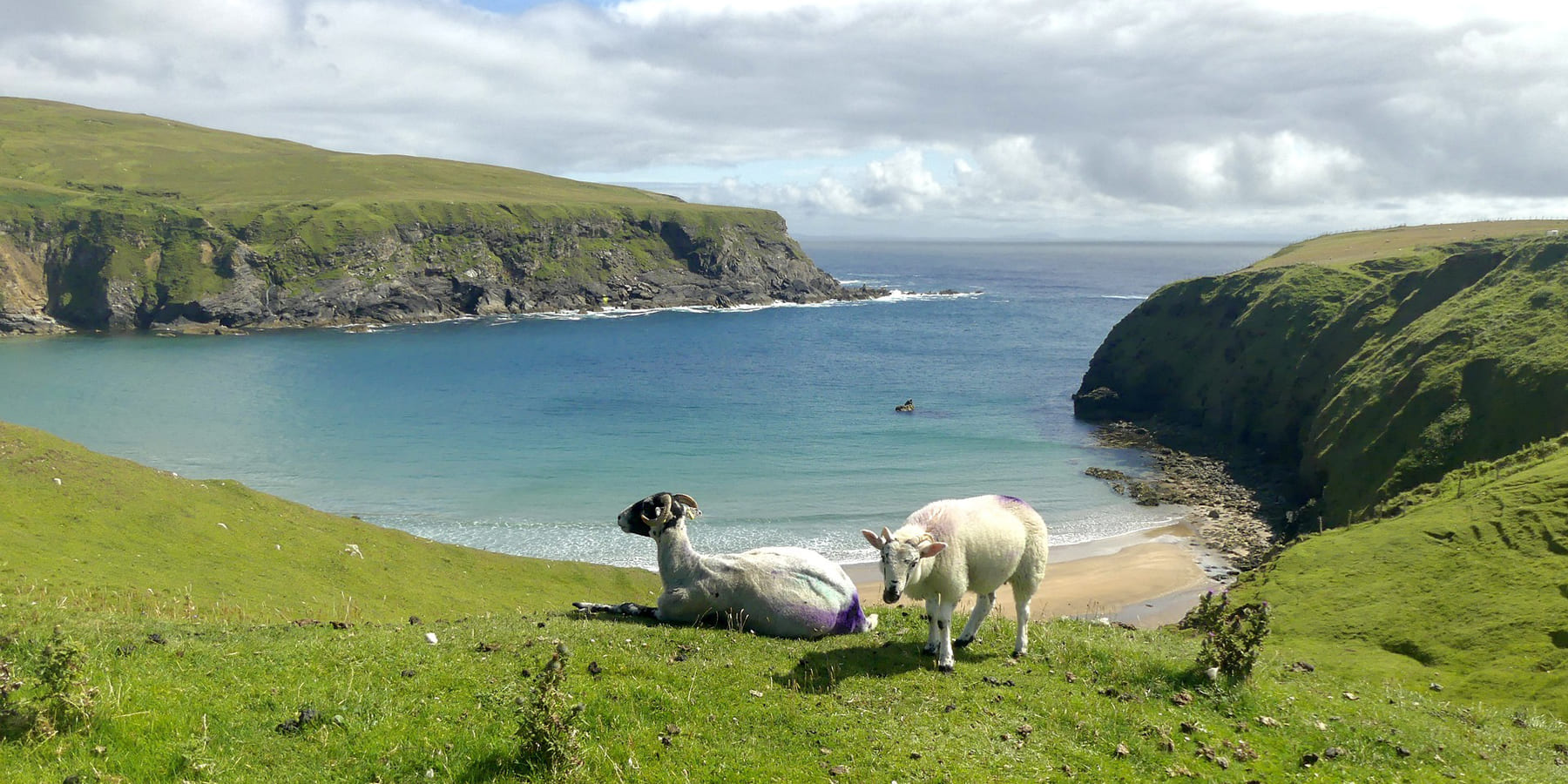 wild atlantic way irlande