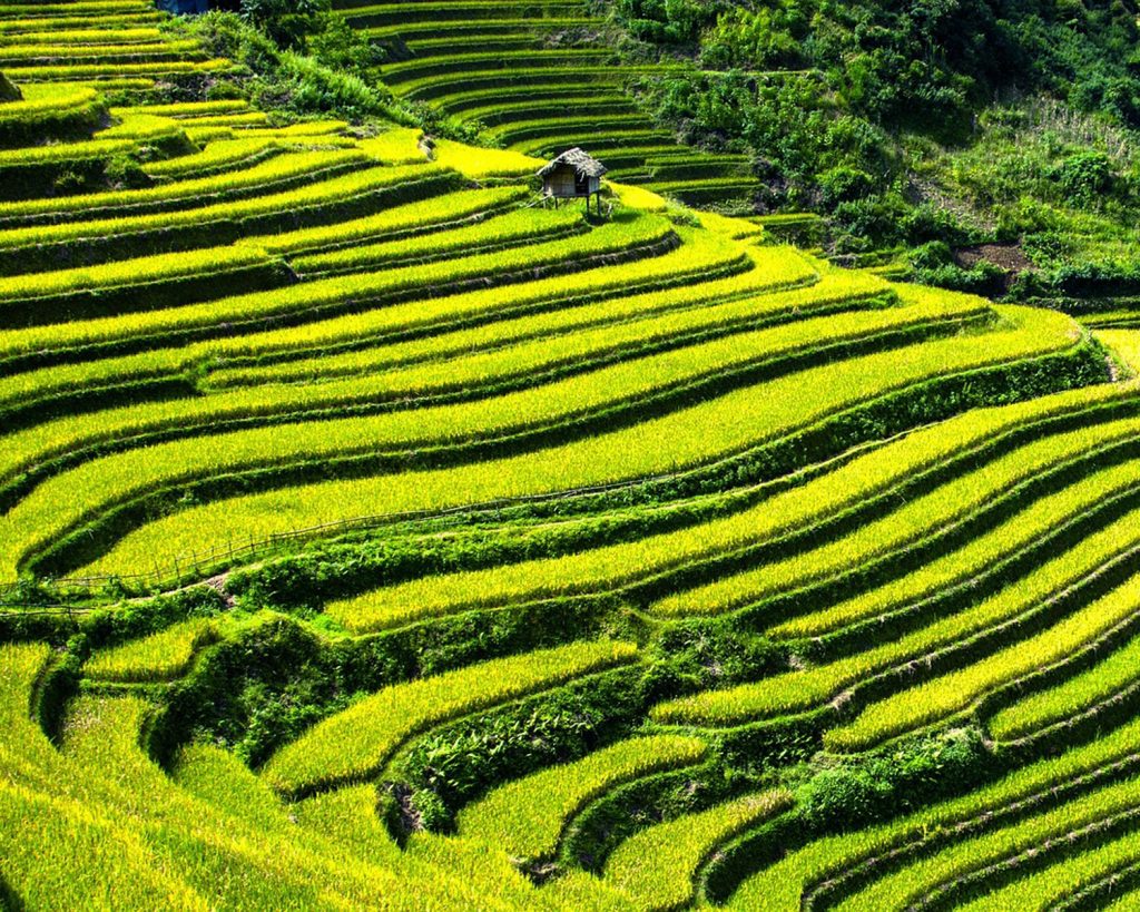 visiter le Vietnam à moto