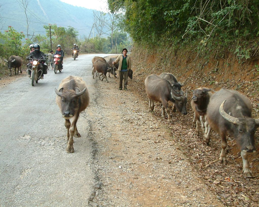 visiter le Vietnam à moto