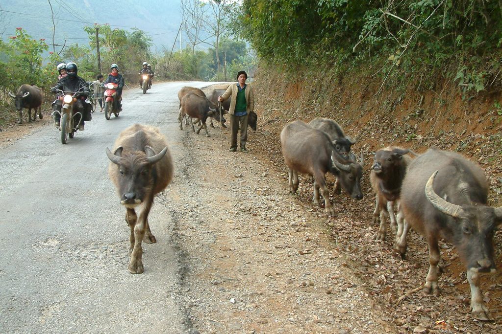 visiter le Vietnam à moto