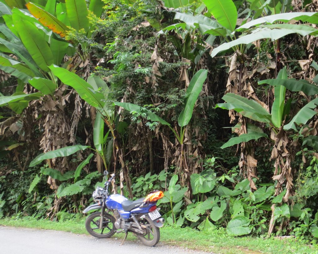 visiter le vietnam à moto