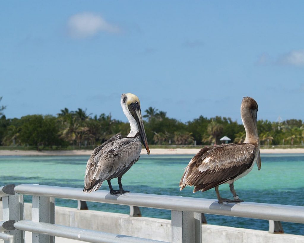 routes-mythiques-usa-floride