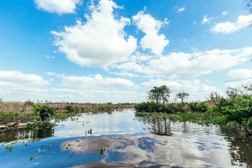 les everglades en floride