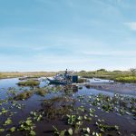 découvrir les everglades en Floride