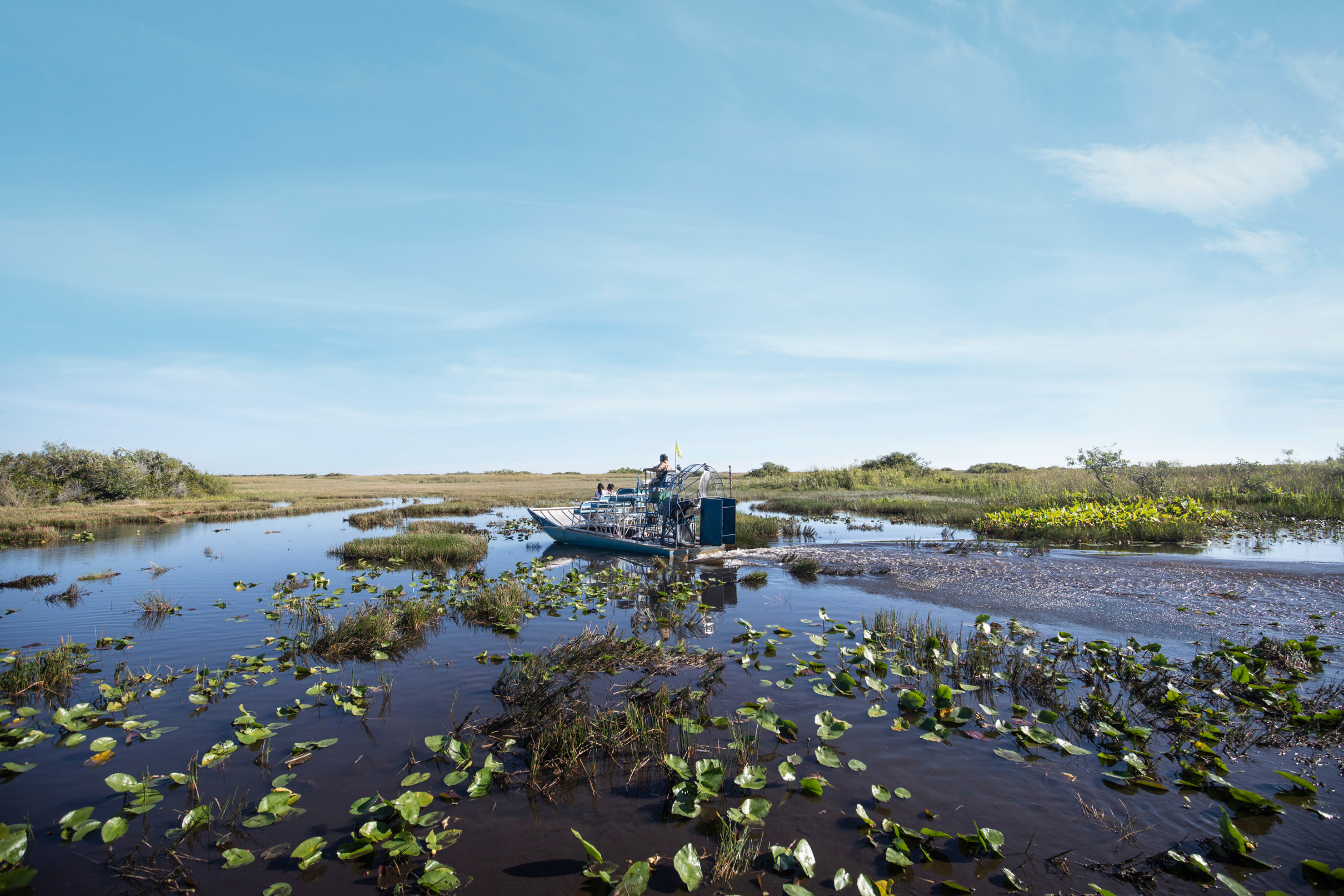 découvrir les everglades en Floride