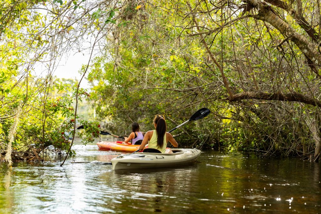 faire du canoe dans les everglades en floride