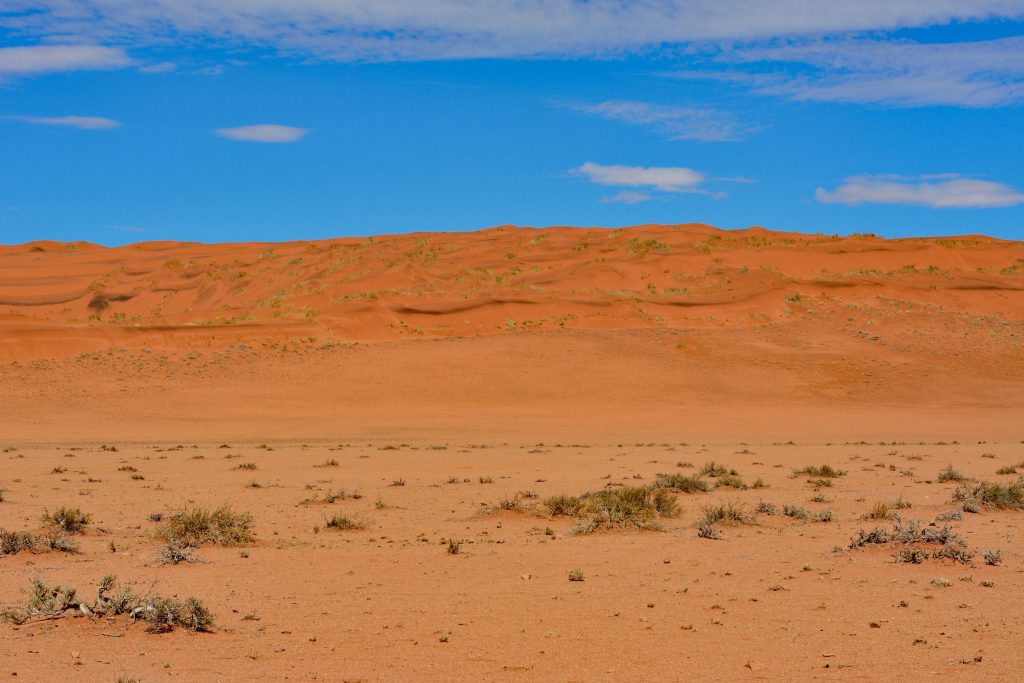 Dunes longeant la route d707 en namibie