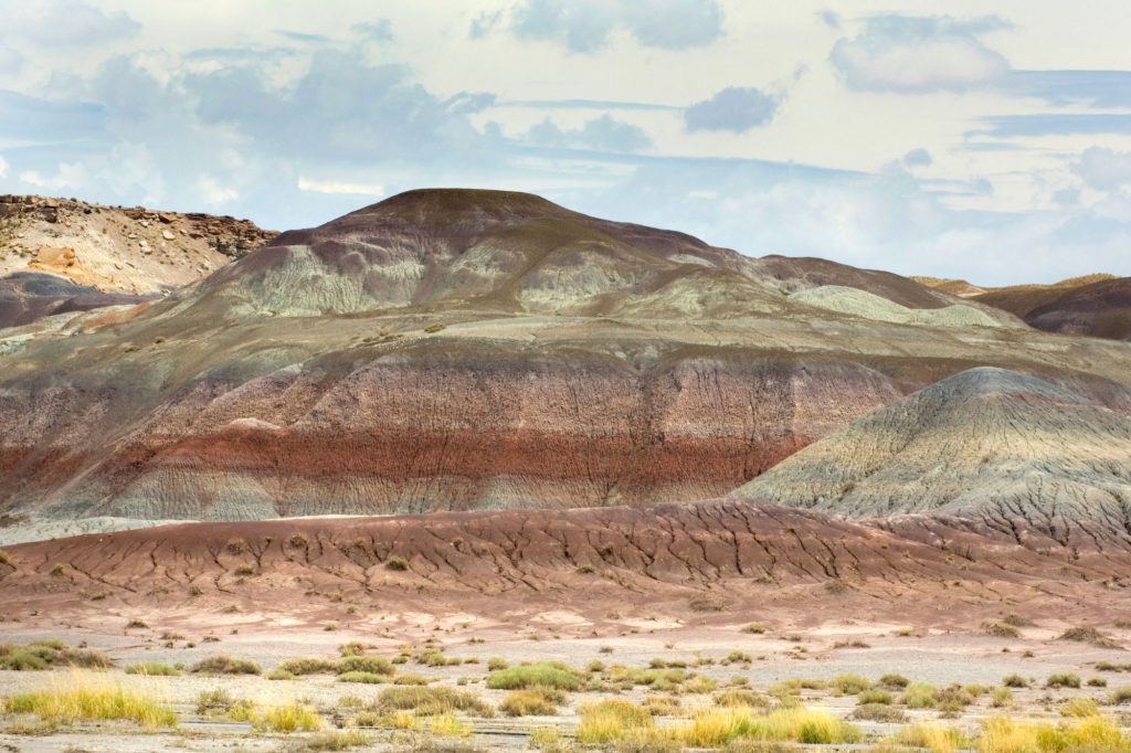 Petrified Forest & Painted Desert