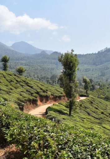 road trip moto en groupe inde du sud