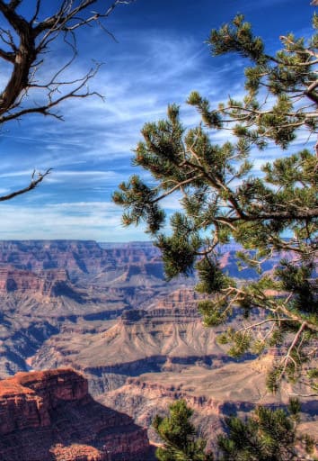 road trip moto usa tout compris ouest américain avec location de harley davidson